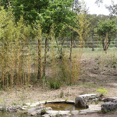 Villa Villekulla Dependance Avec Spa Privatif Le Plan-de-la-Tour Zewnętrze zdjęcie