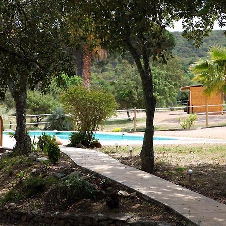 Villa Villekulla Dependance Avec Spa Privatif Le Plan-de-la-Tour Zewnętrze zdjęcie