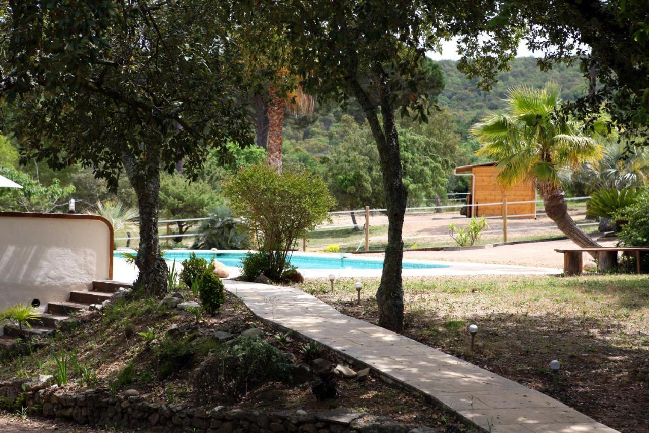 Villa Villekulla Dependance Avec Spa Privatif Le Plan-de-la-Tour Zewnętrze zdjęcie